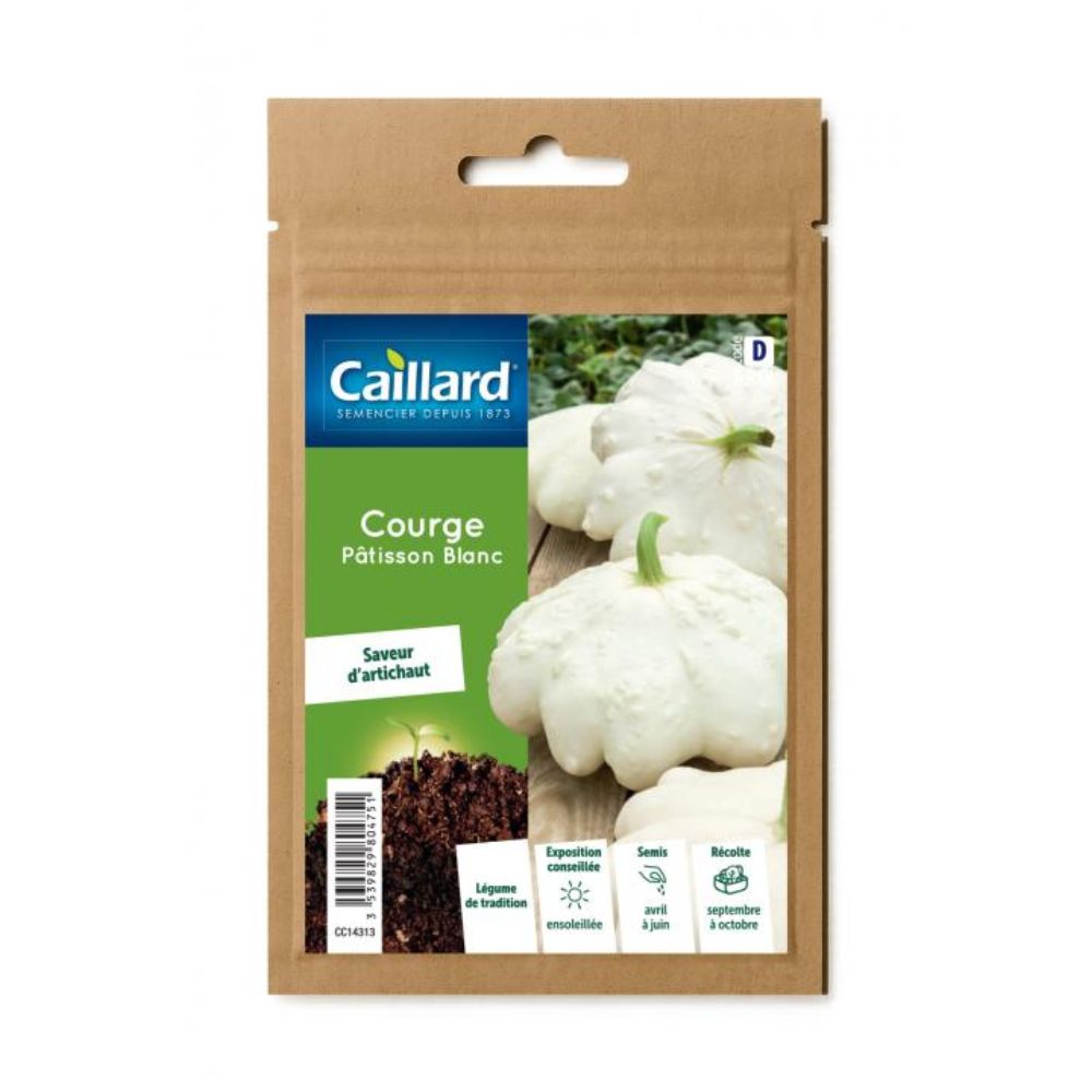 SEMENCE COURGETTE PATISSON BLANC